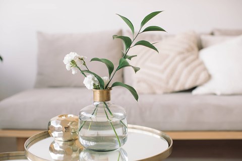 Living room decor close up