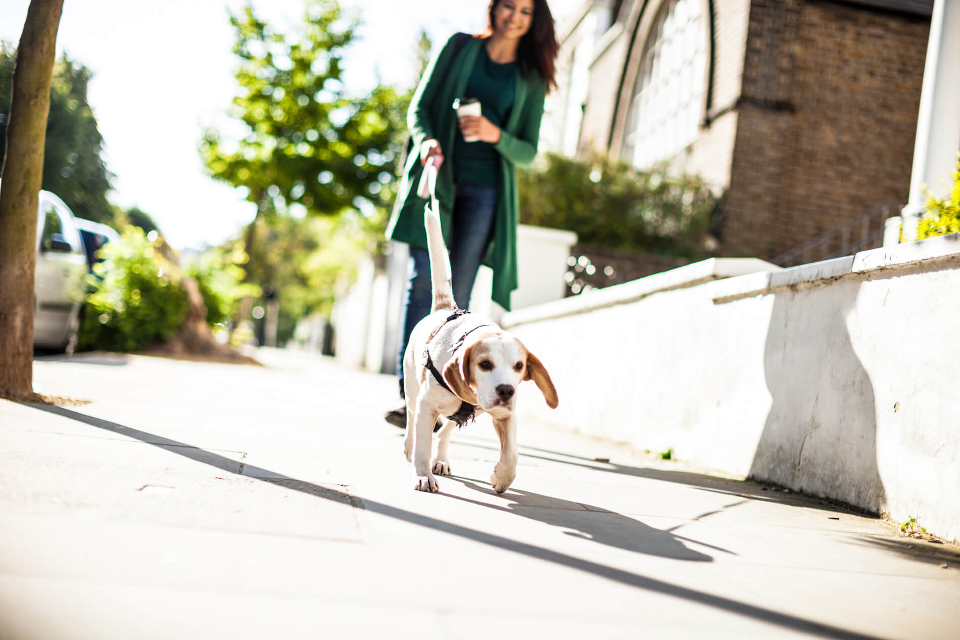 Woman walking her dog