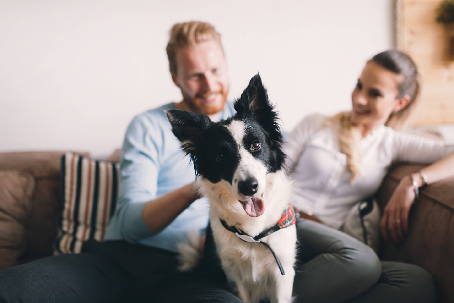 Couple sitting with dog