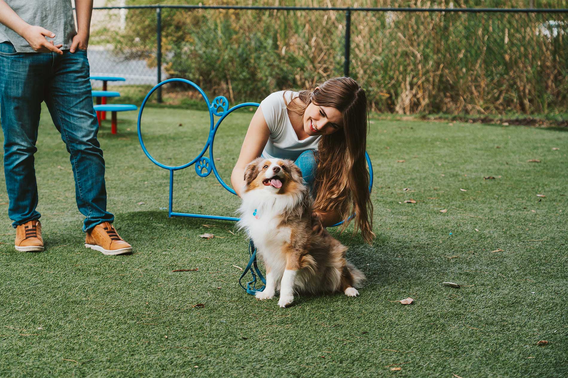 Residents spending time with their dogs at the Avena community dog park in Menifee, CA