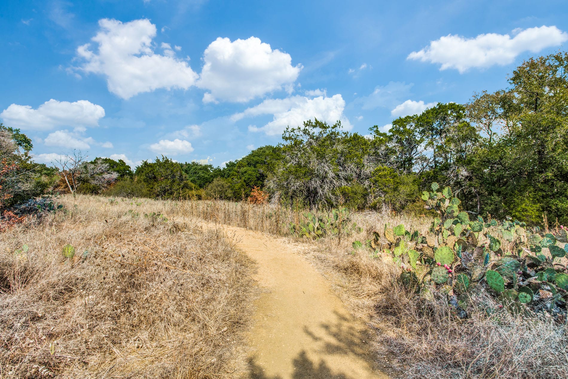 Barton Creek Landing Trail