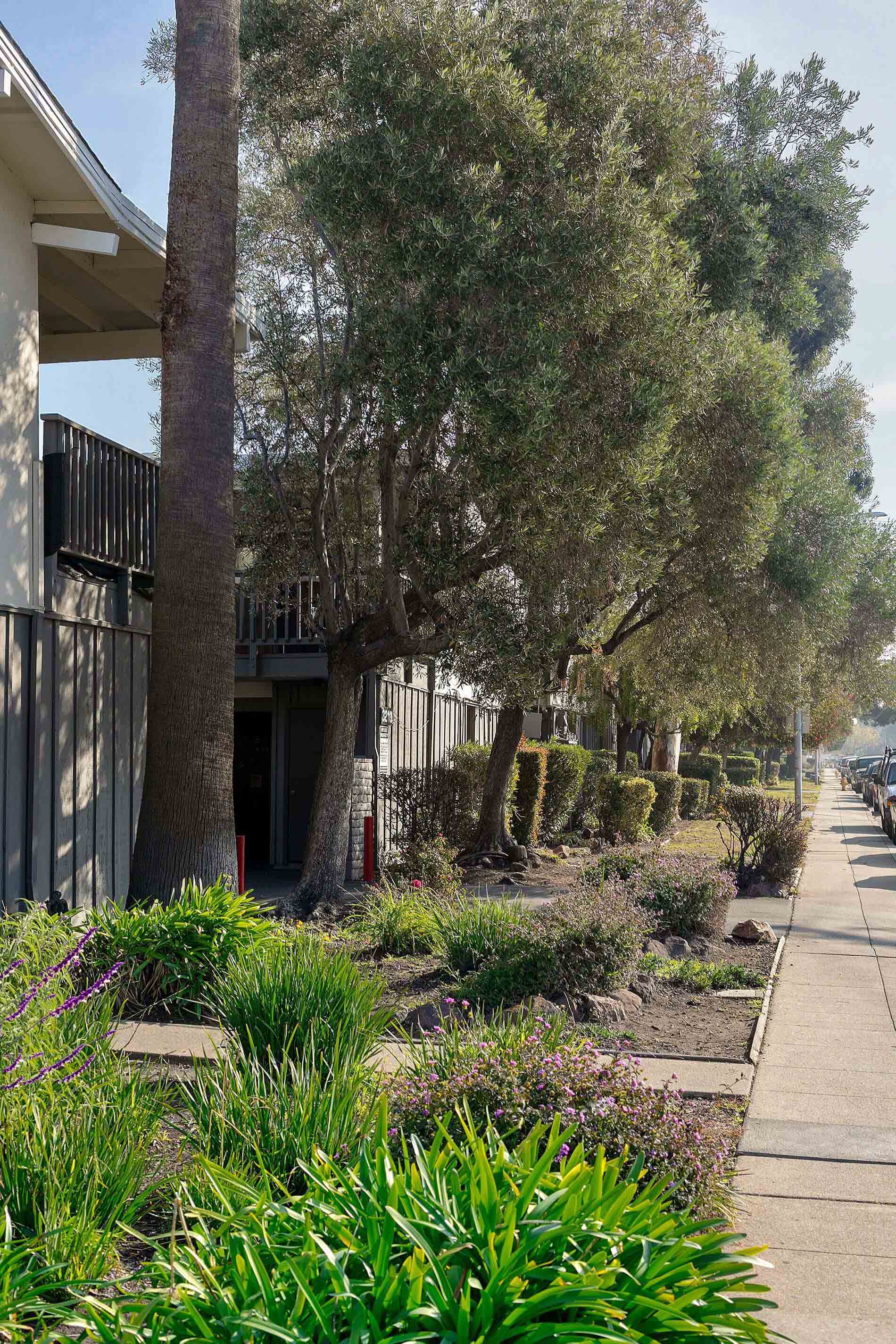 Bay Terrace Apartments Building Exterior