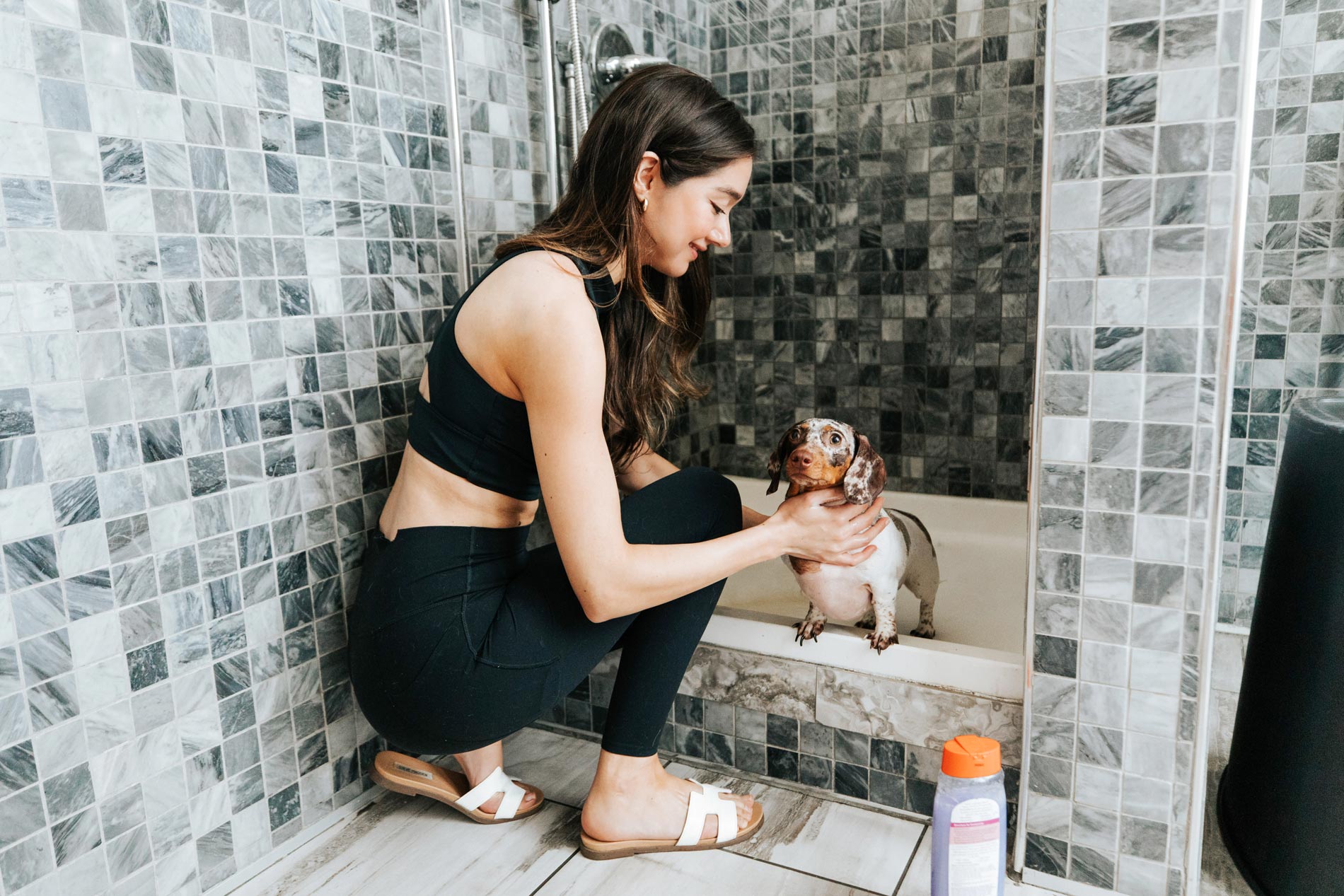 Central Square woman cleans dog in dog wash