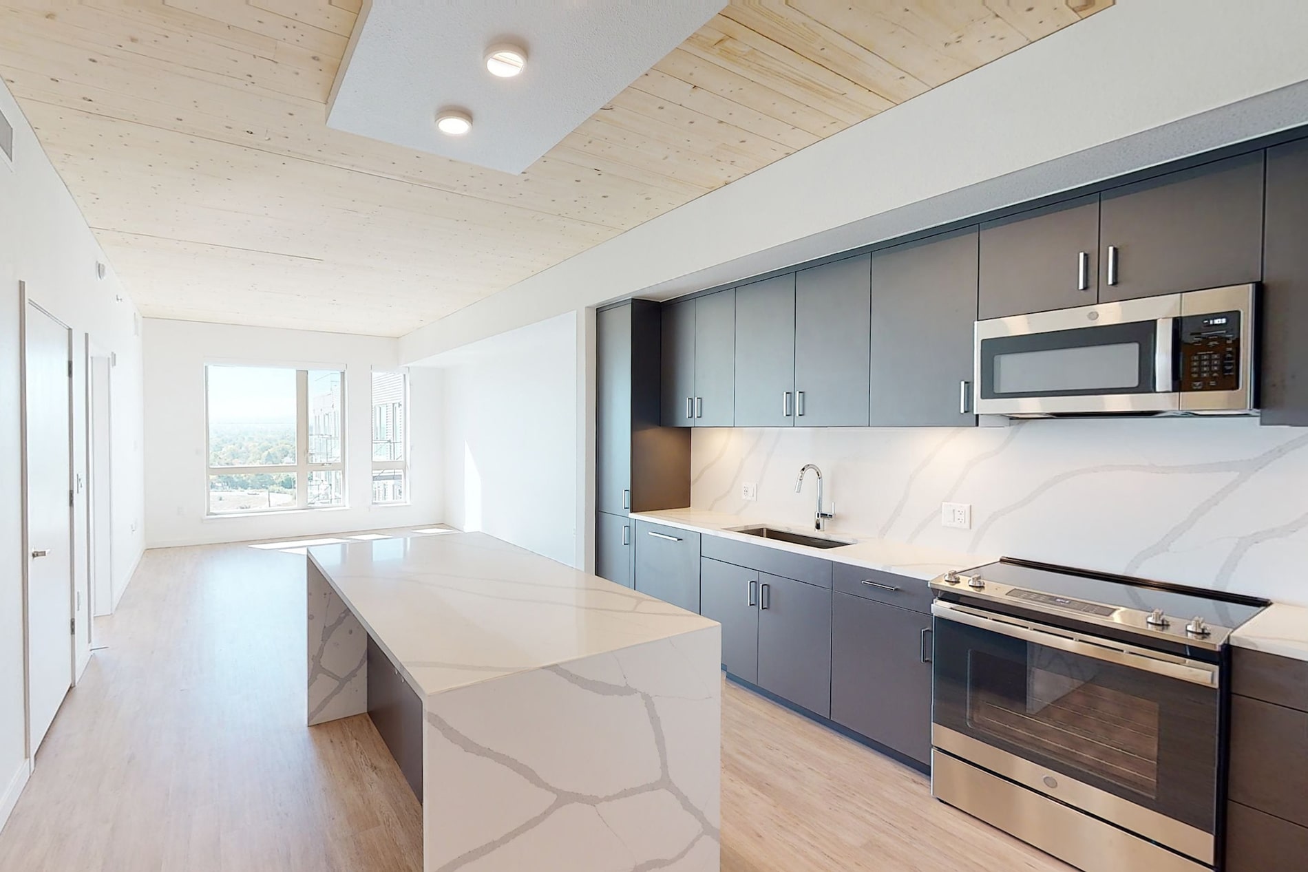 Cirrus Penthouse kitchen