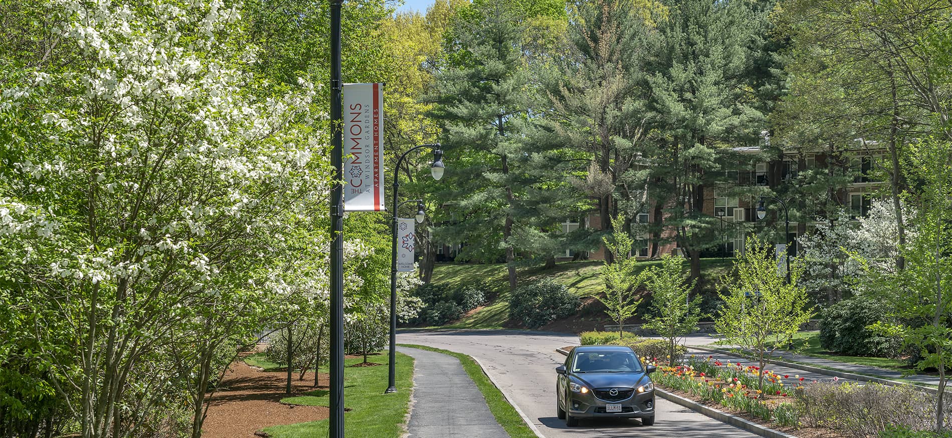 Commons at Windsor Gardens driveway