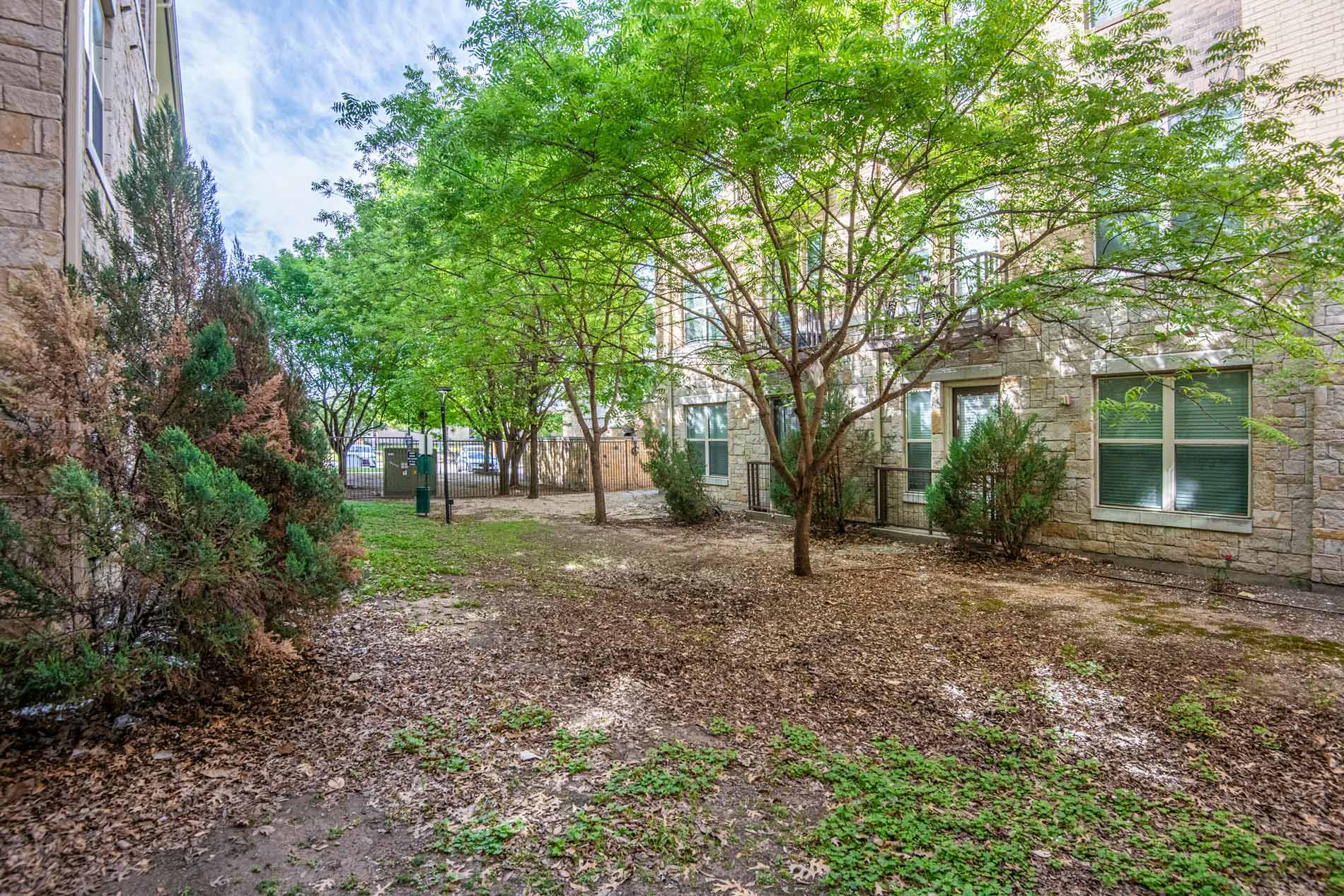 Cool Springs dog park