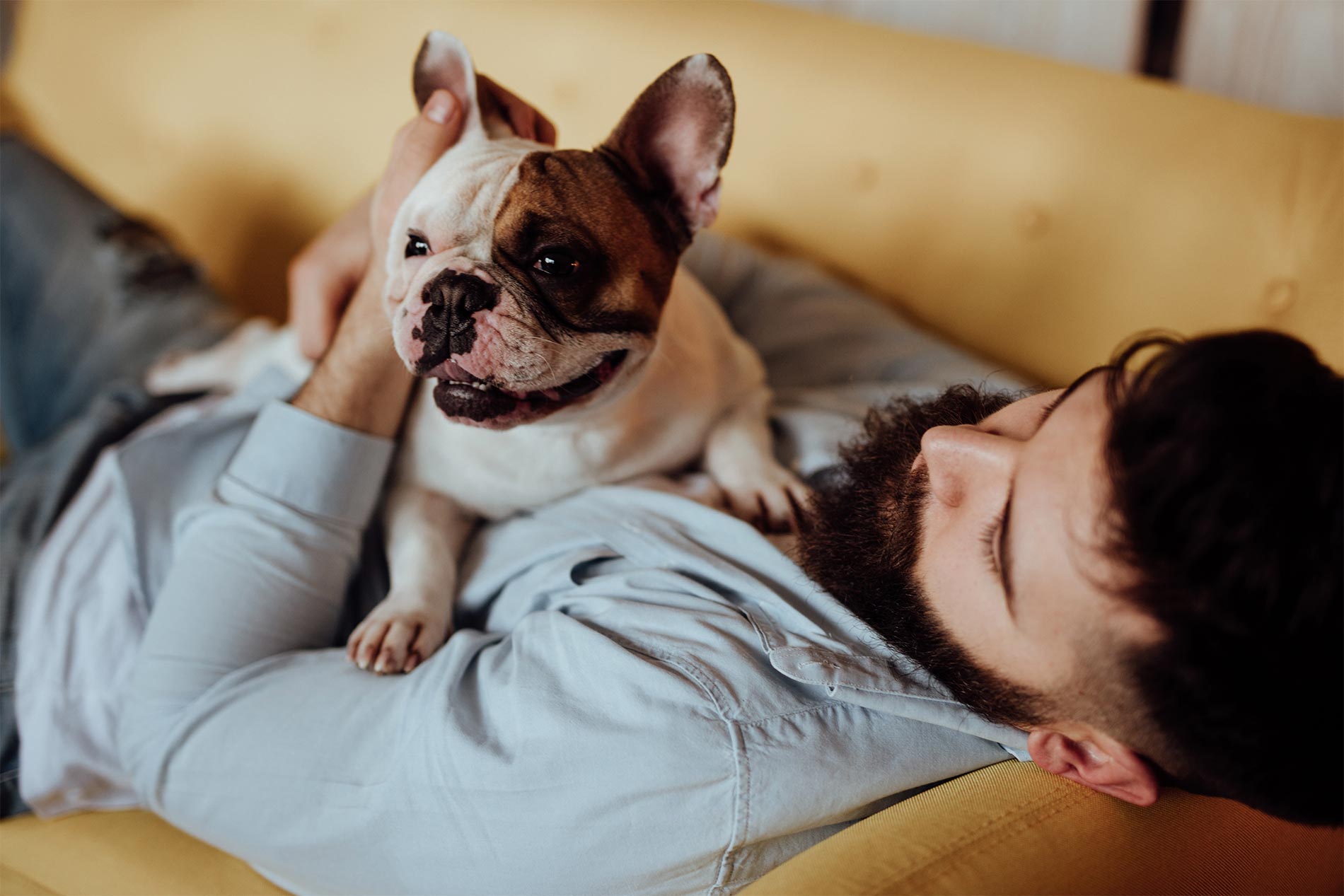Men laying on couch