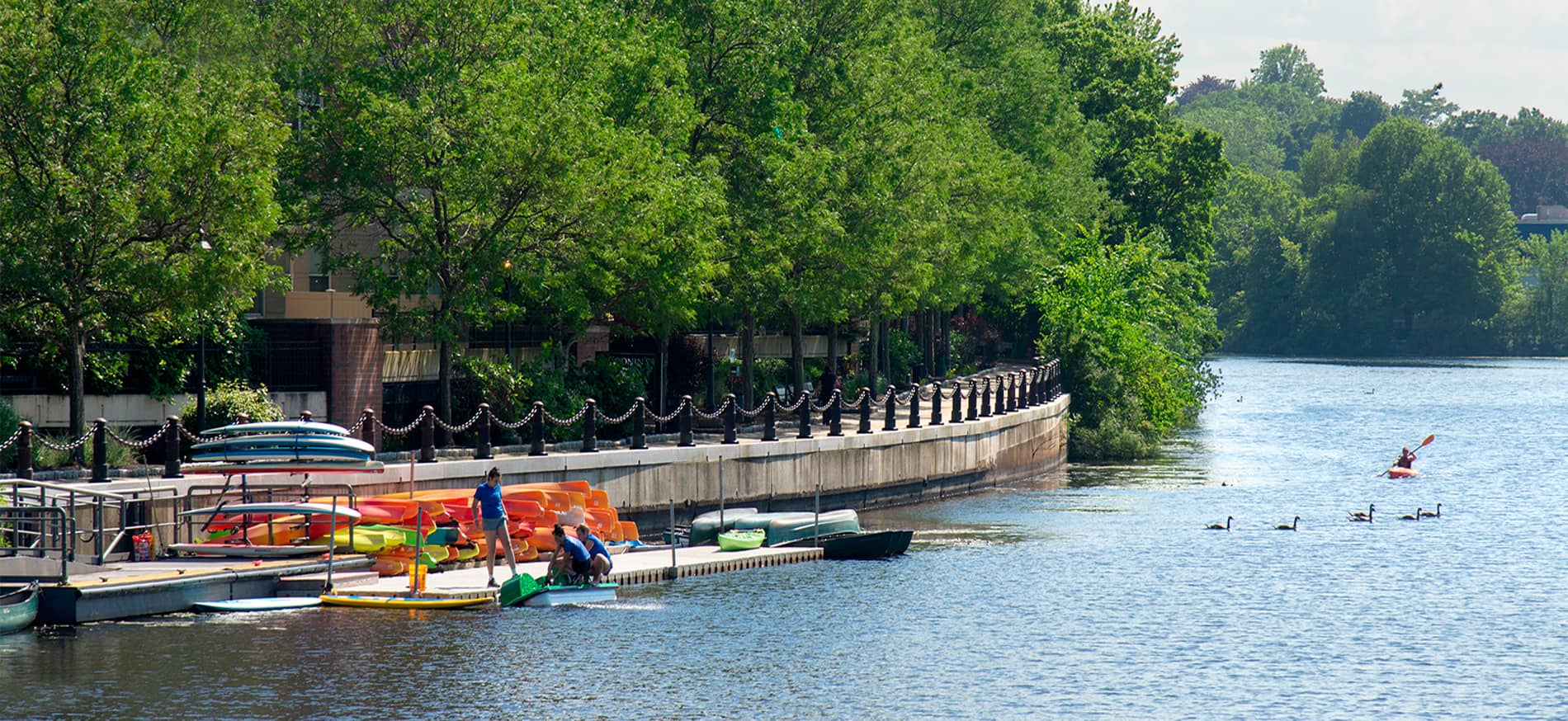 Currents on the Charles Riverfront