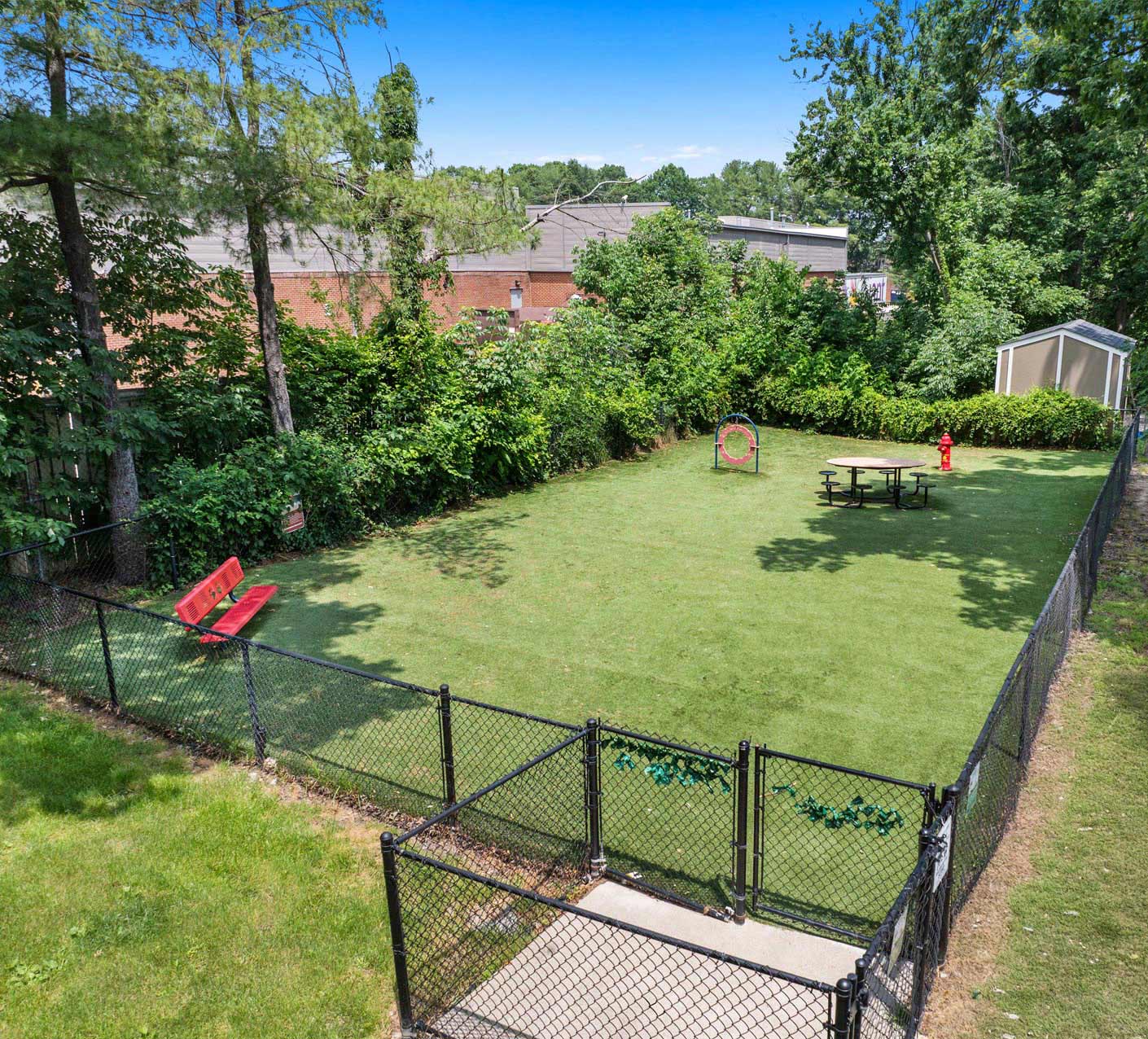 Dominion Lake Ridge aerial dog park