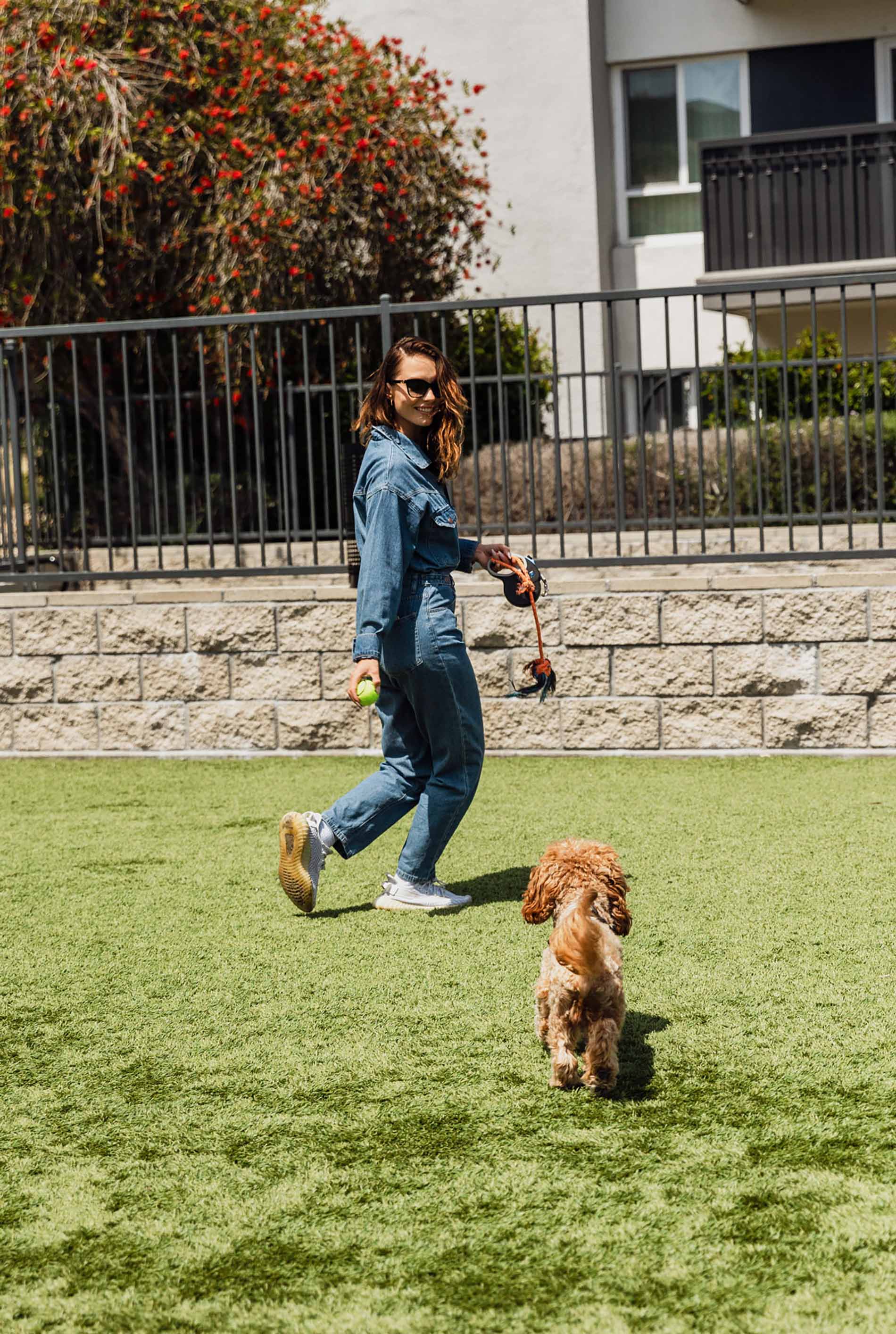 Eight 80 woman in dog park with small tan dog