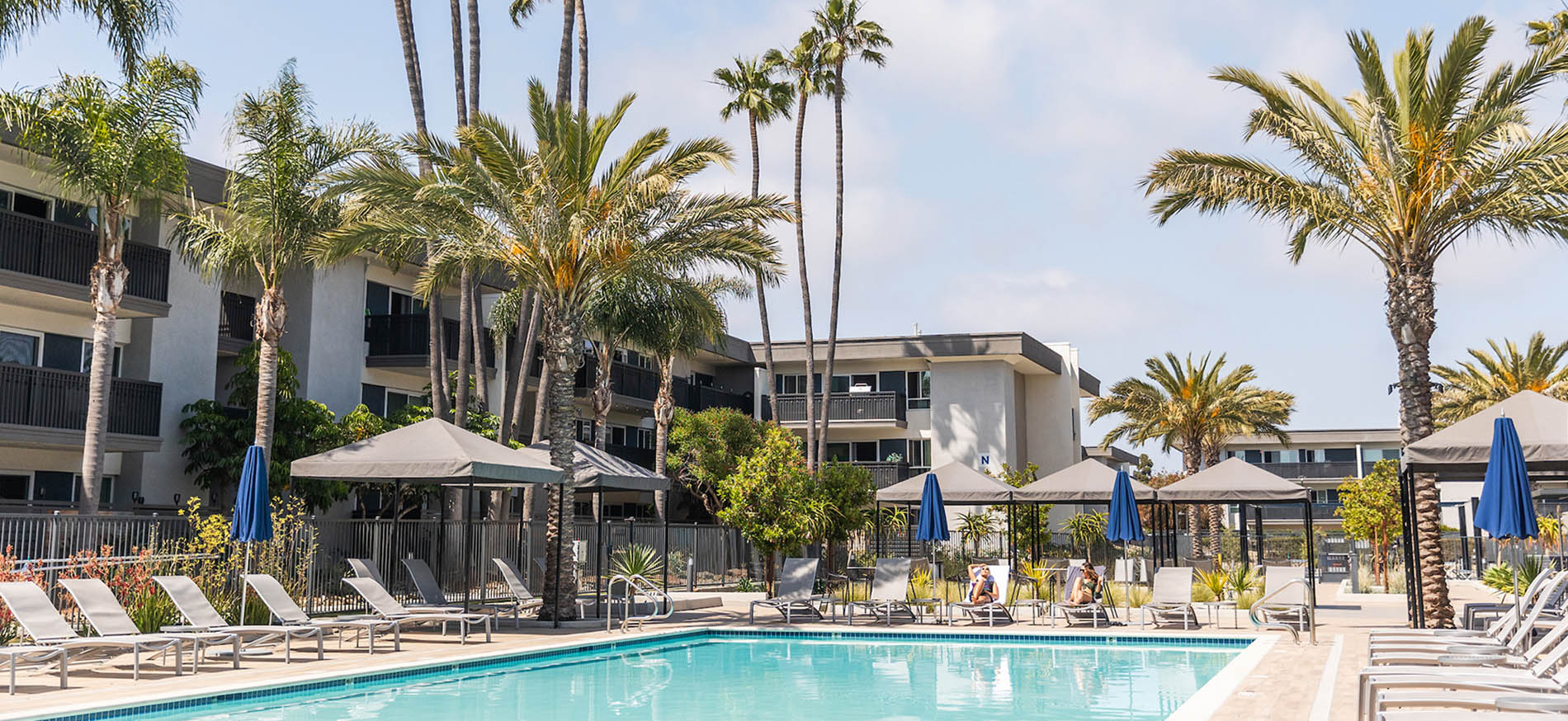 Eight80 pool surrounded by sun loungers and palm trees, with the ocean in the background