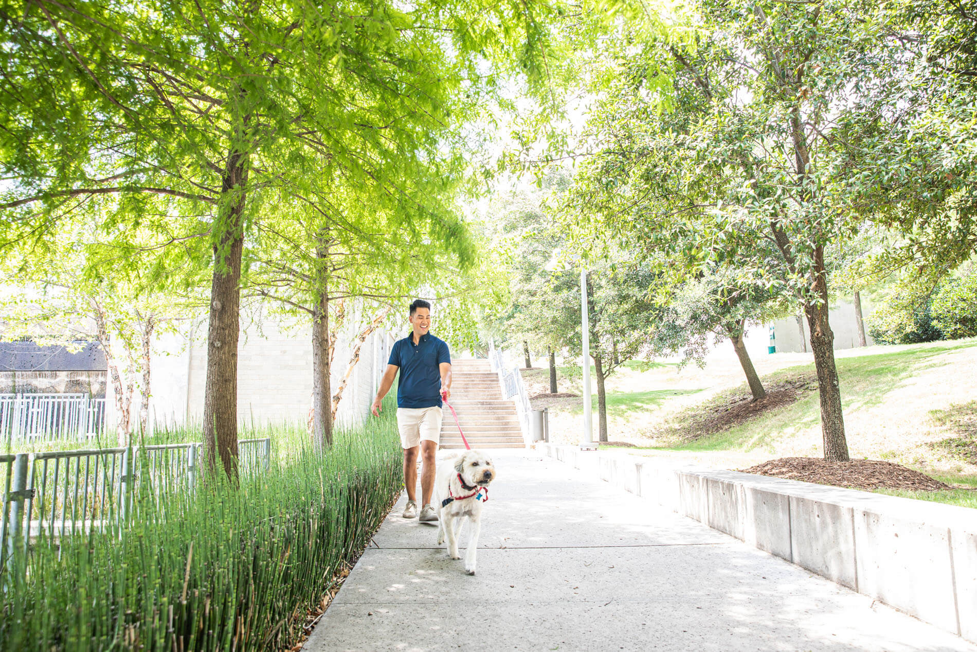 Man walking dog