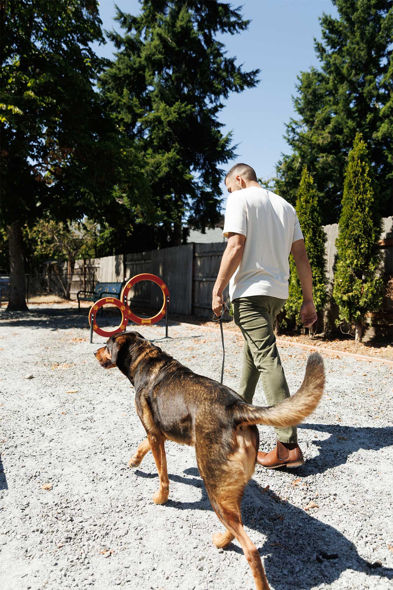Pet-friendly apartment amenities at Heirloom