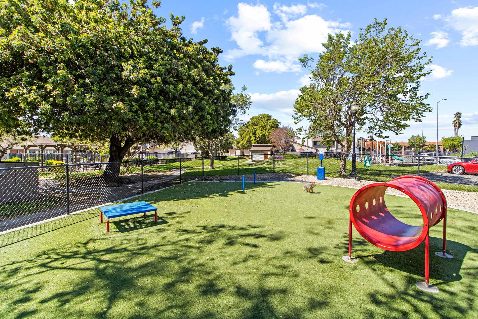 Laurel Tree dog park