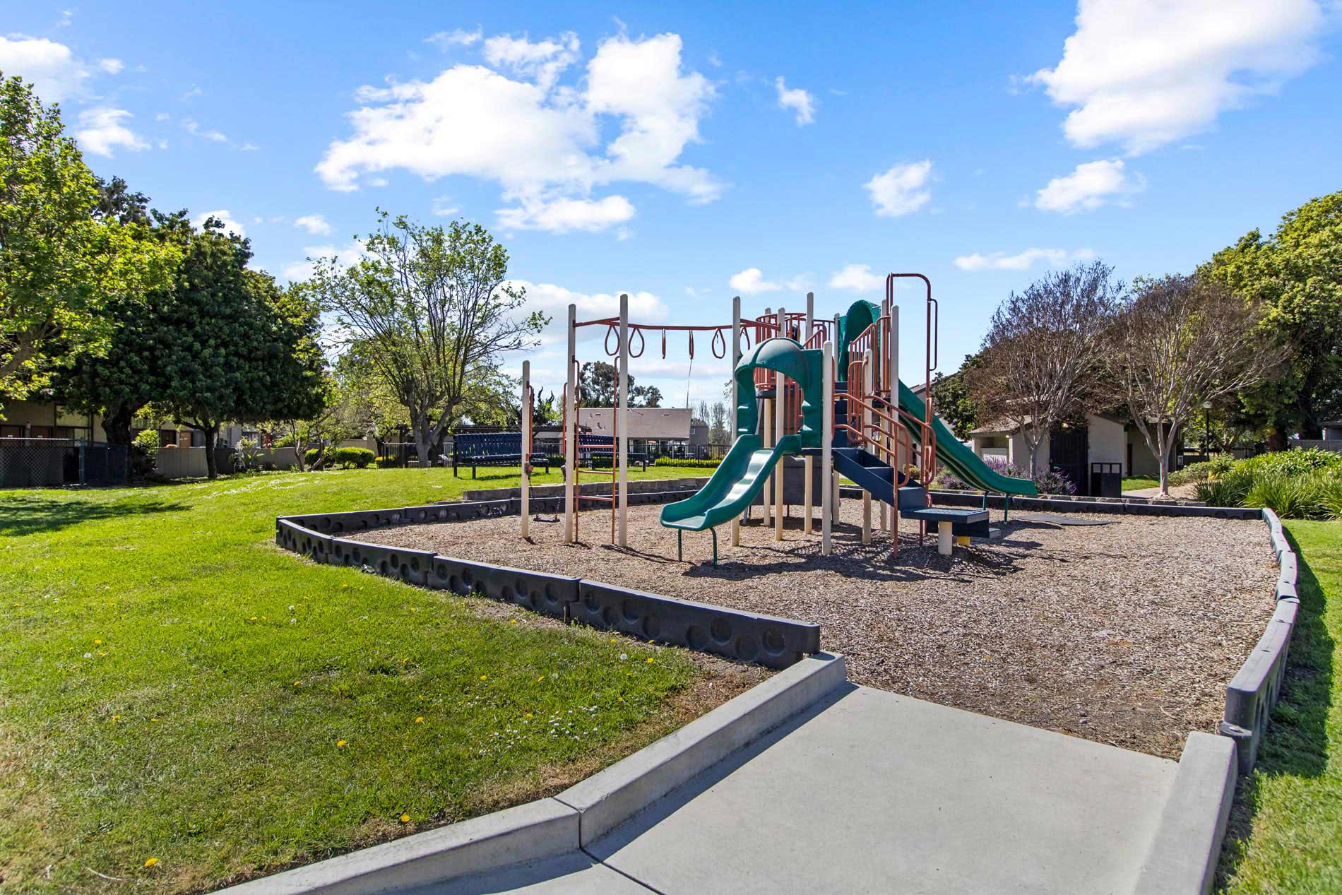 Laurel Tree playground
