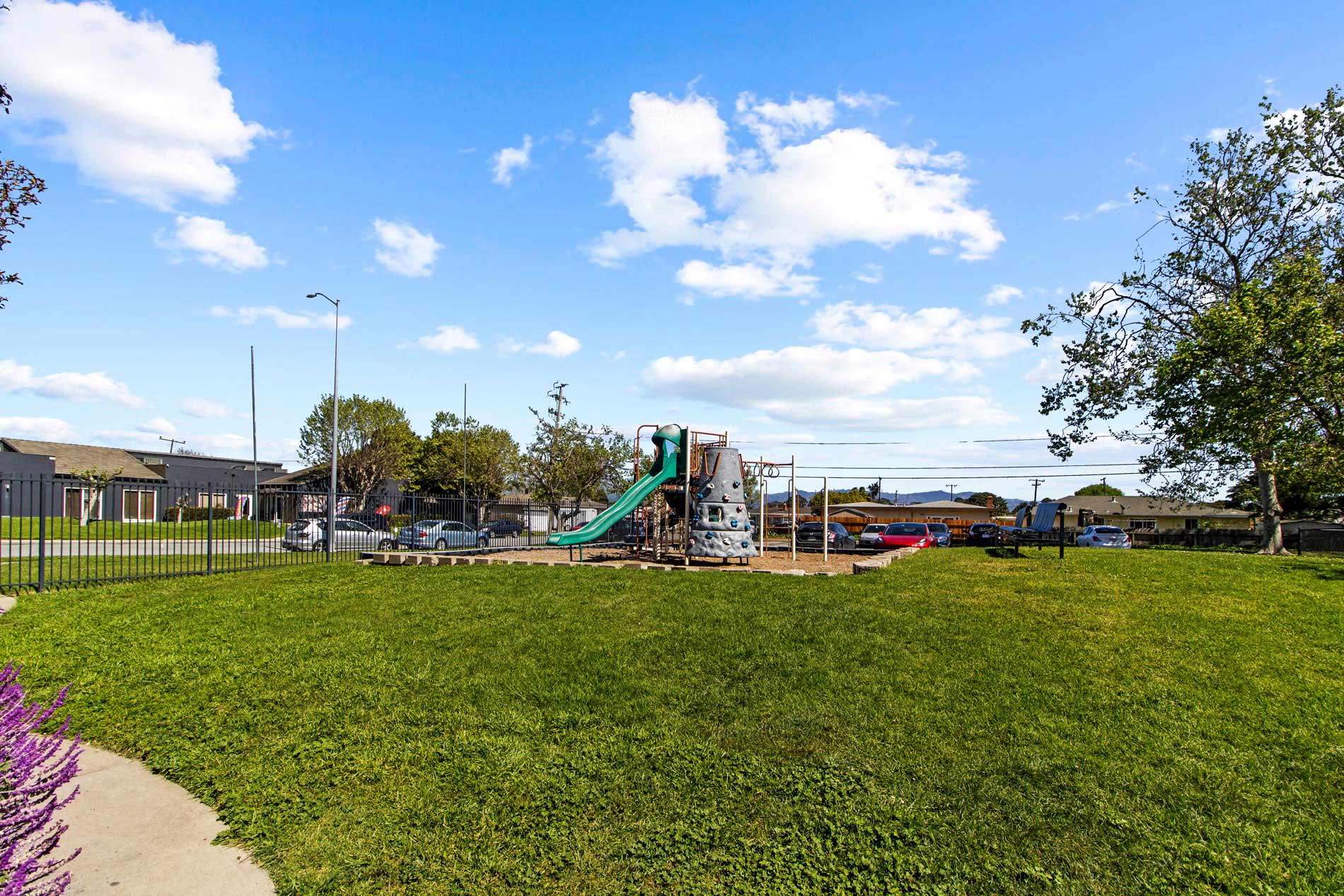 Laurel Tree playground