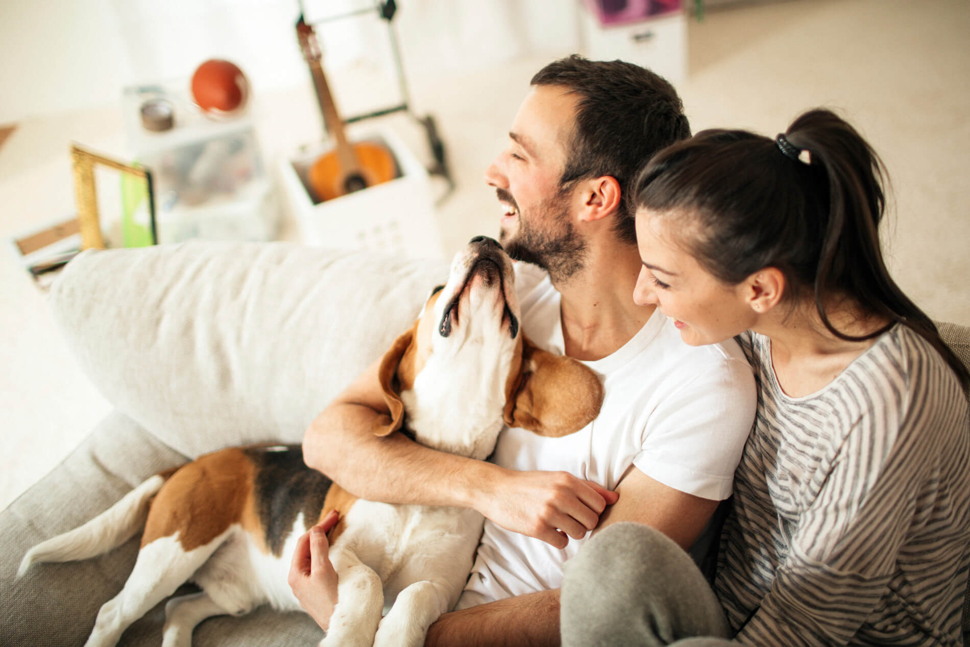 Couple snuggling dog on the couch