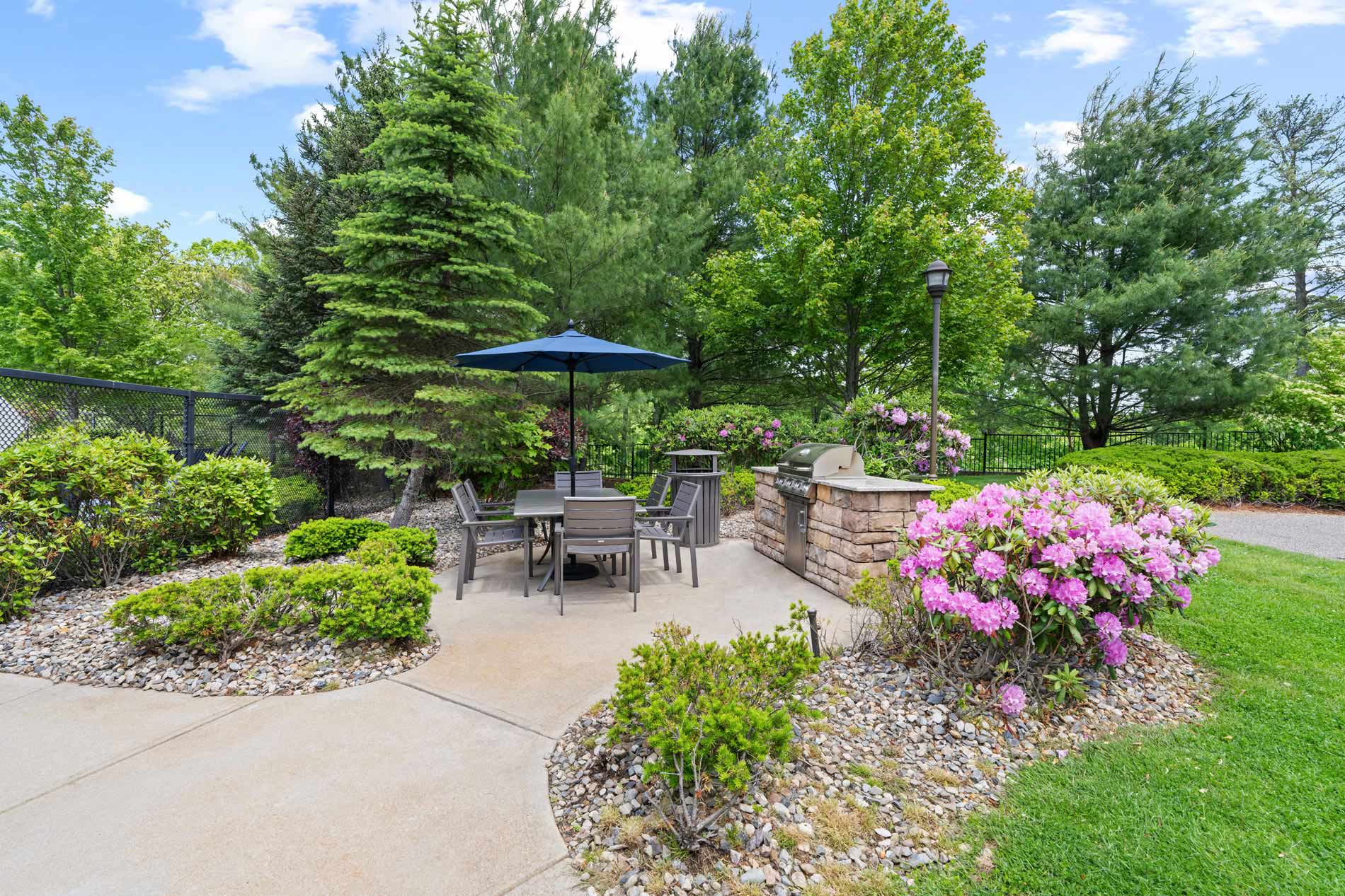 Lodge at Ames Pond grilling area