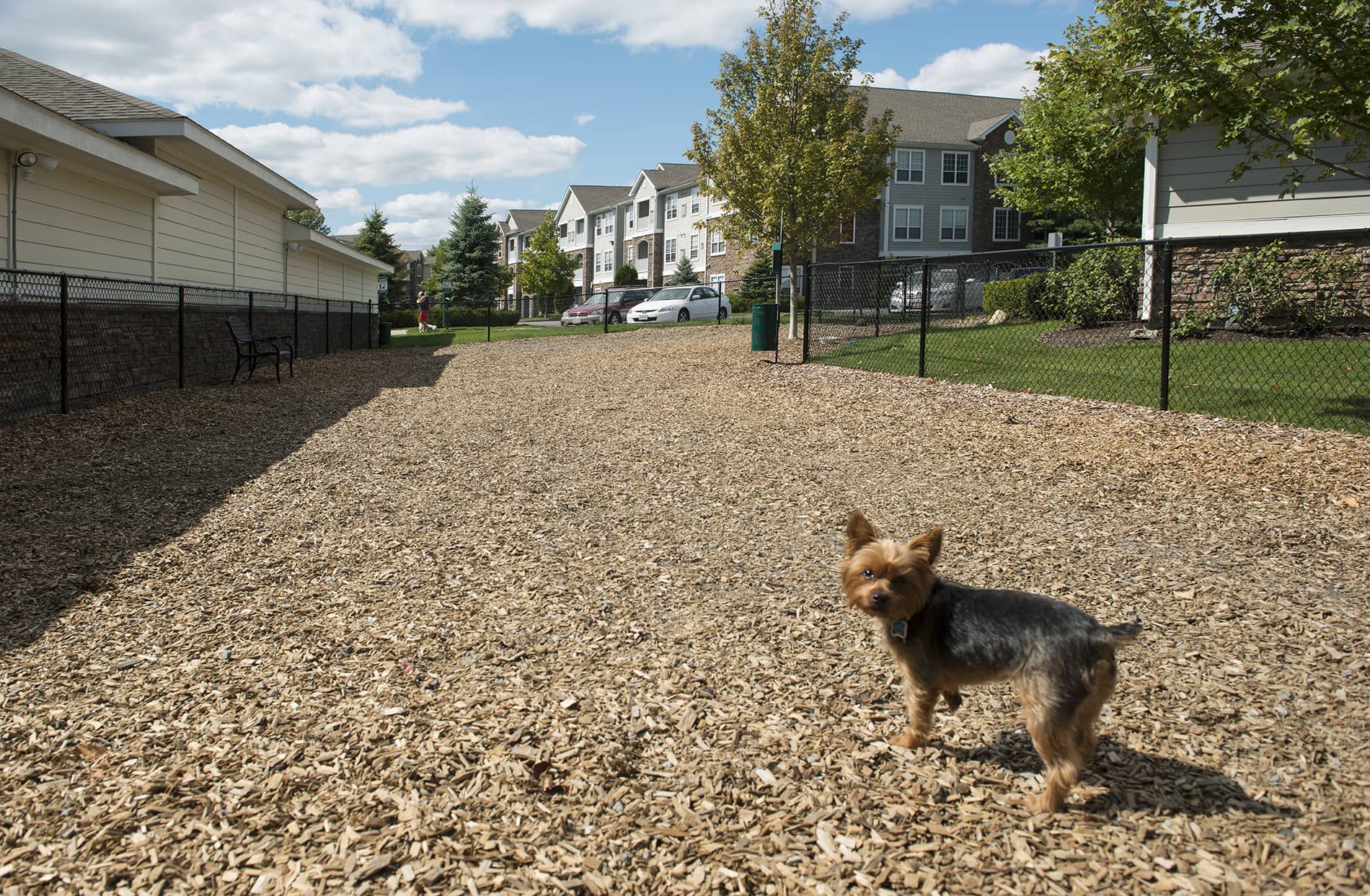 Lodge at Foxborough Dog Park