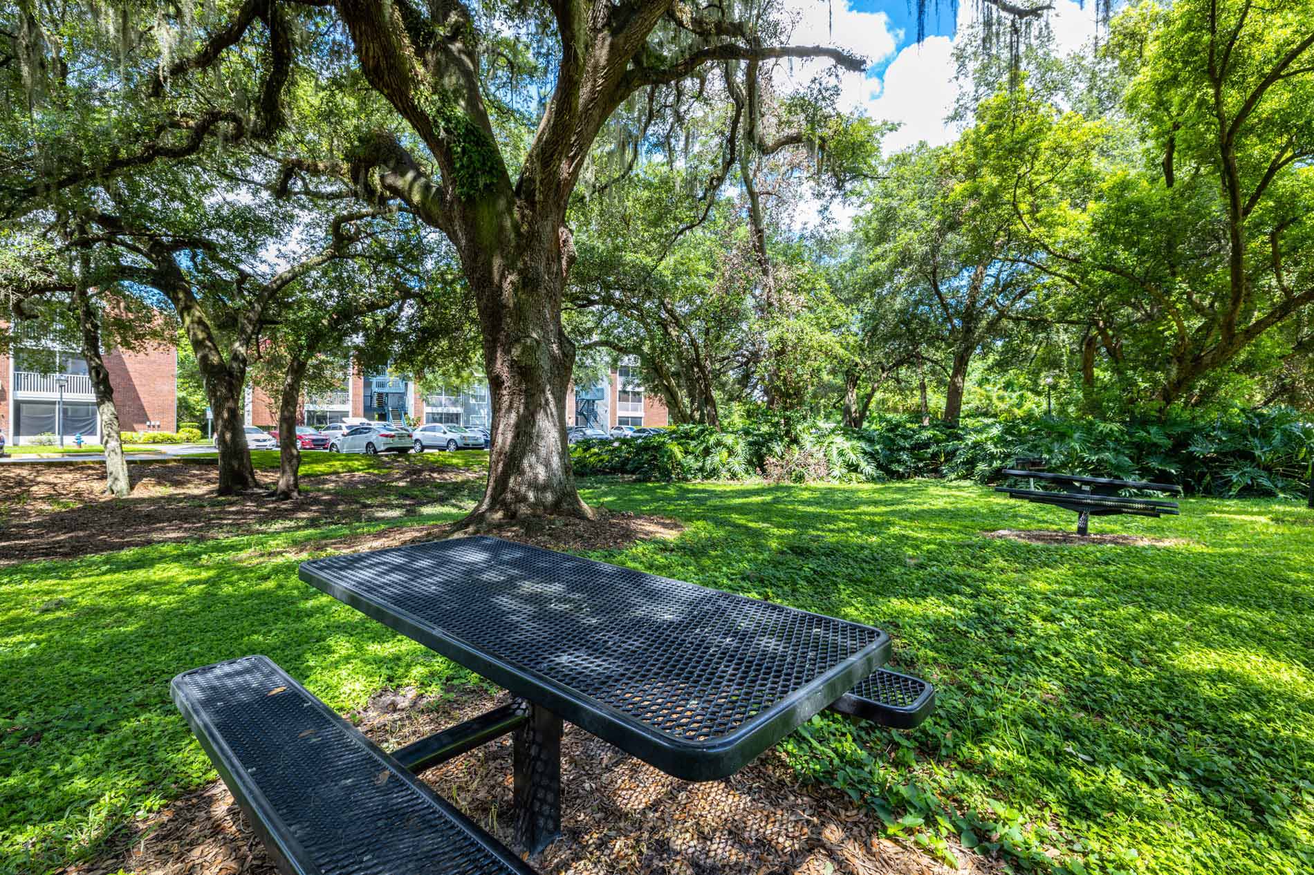 Lotus Landing Picnic area