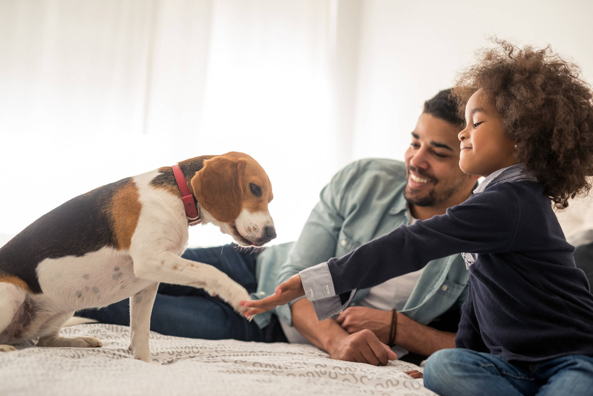 People playing with a dog on the floor