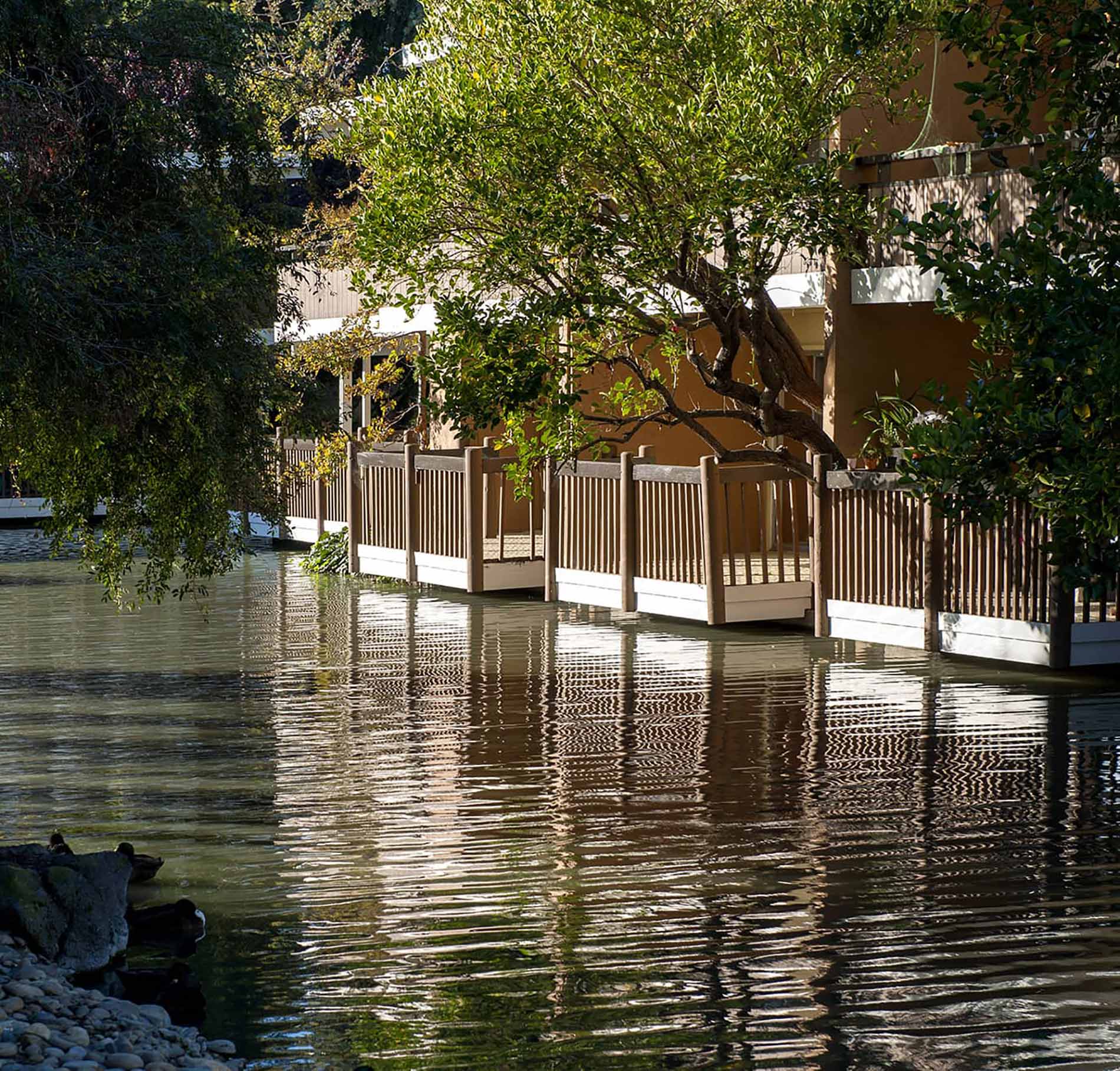 Marina Playa Building Exterior