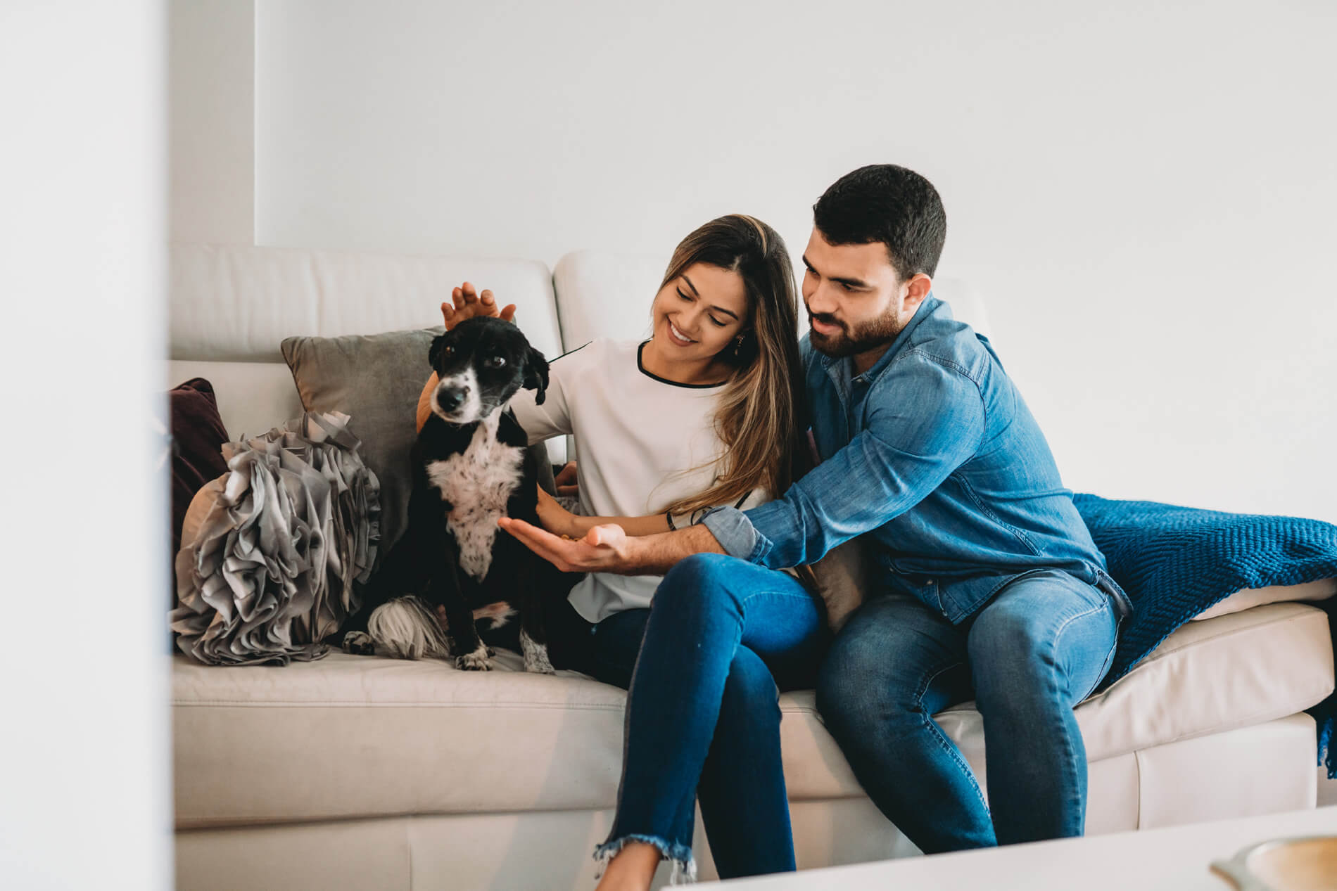 Couple sitting with dog