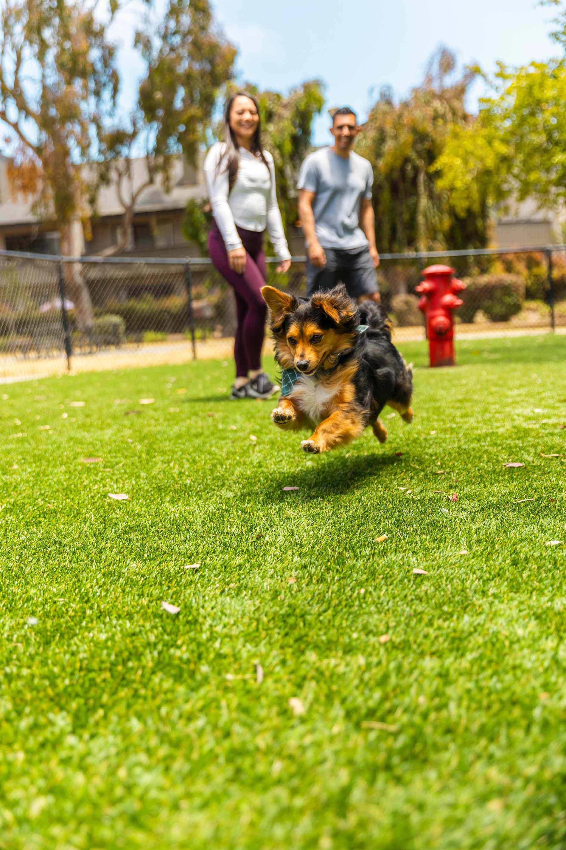 Pointe at Harden Ranch couple at dog park