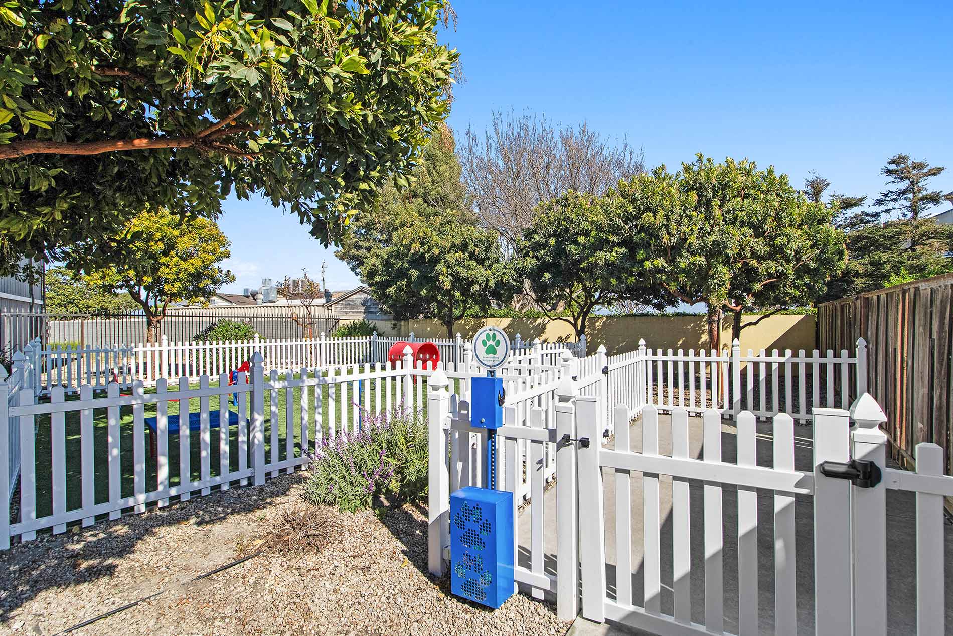 Pointe at Westlake dog park