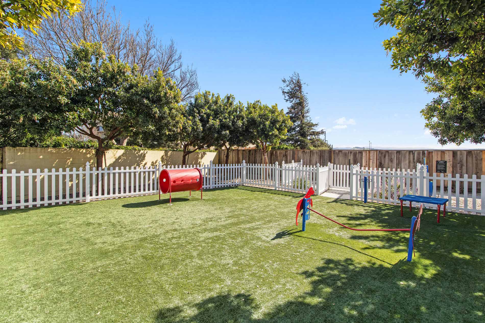 Pointe at Westlake dog park