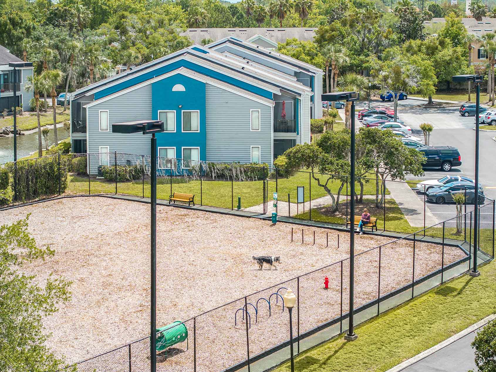 Seabrook dog park