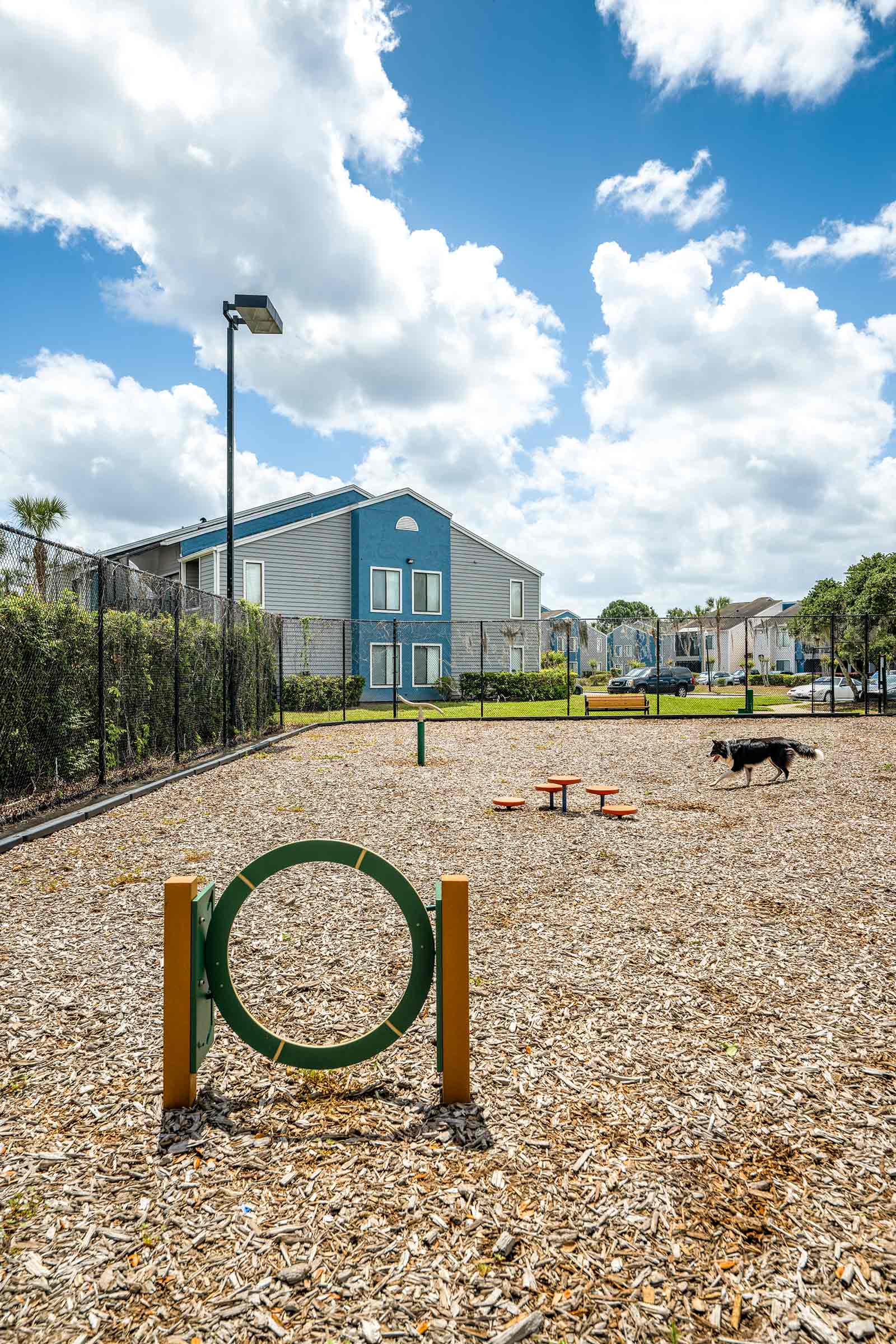 Seabrook dog park