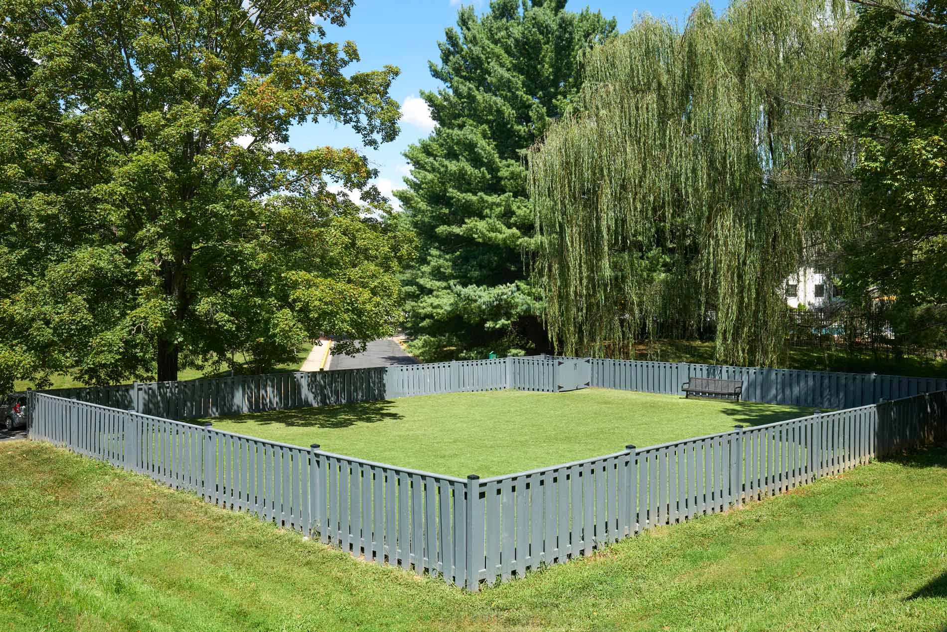 Seneca Place dog park