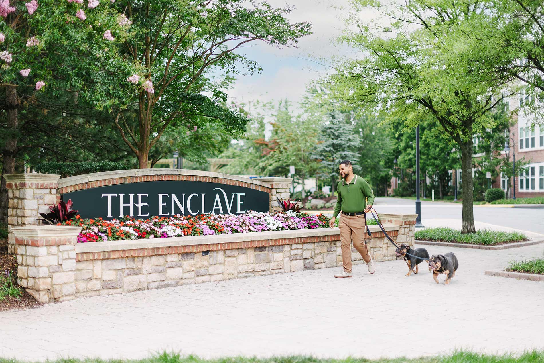The Enclave man walks in front of building with dogs on a leash