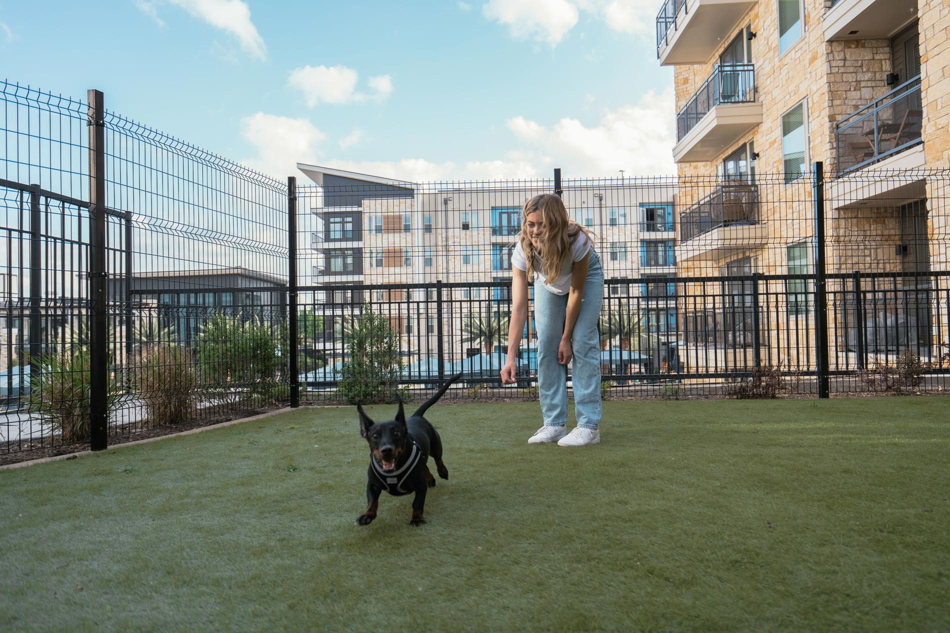 Vitruvian West dog park