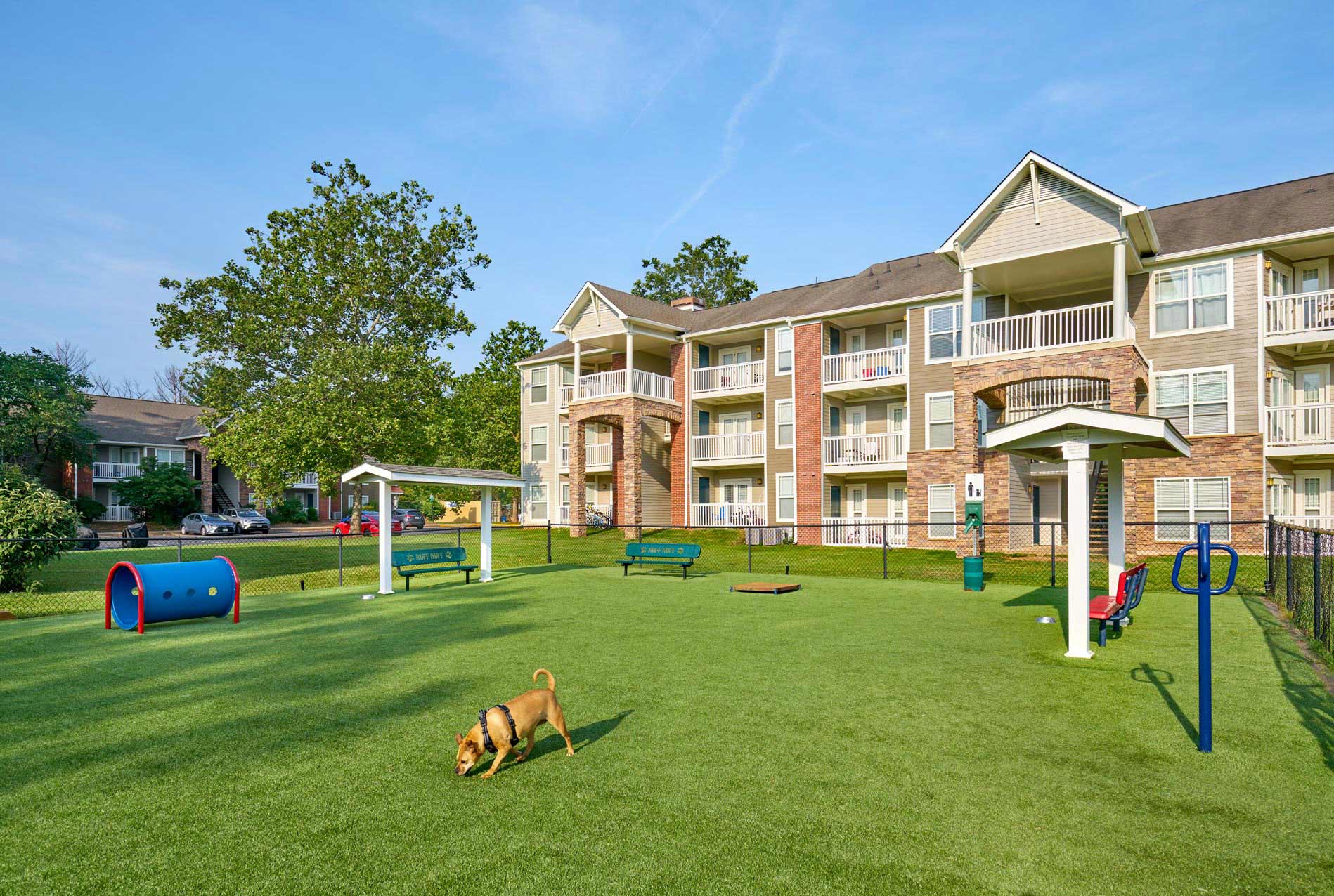 Wellington Place dog park