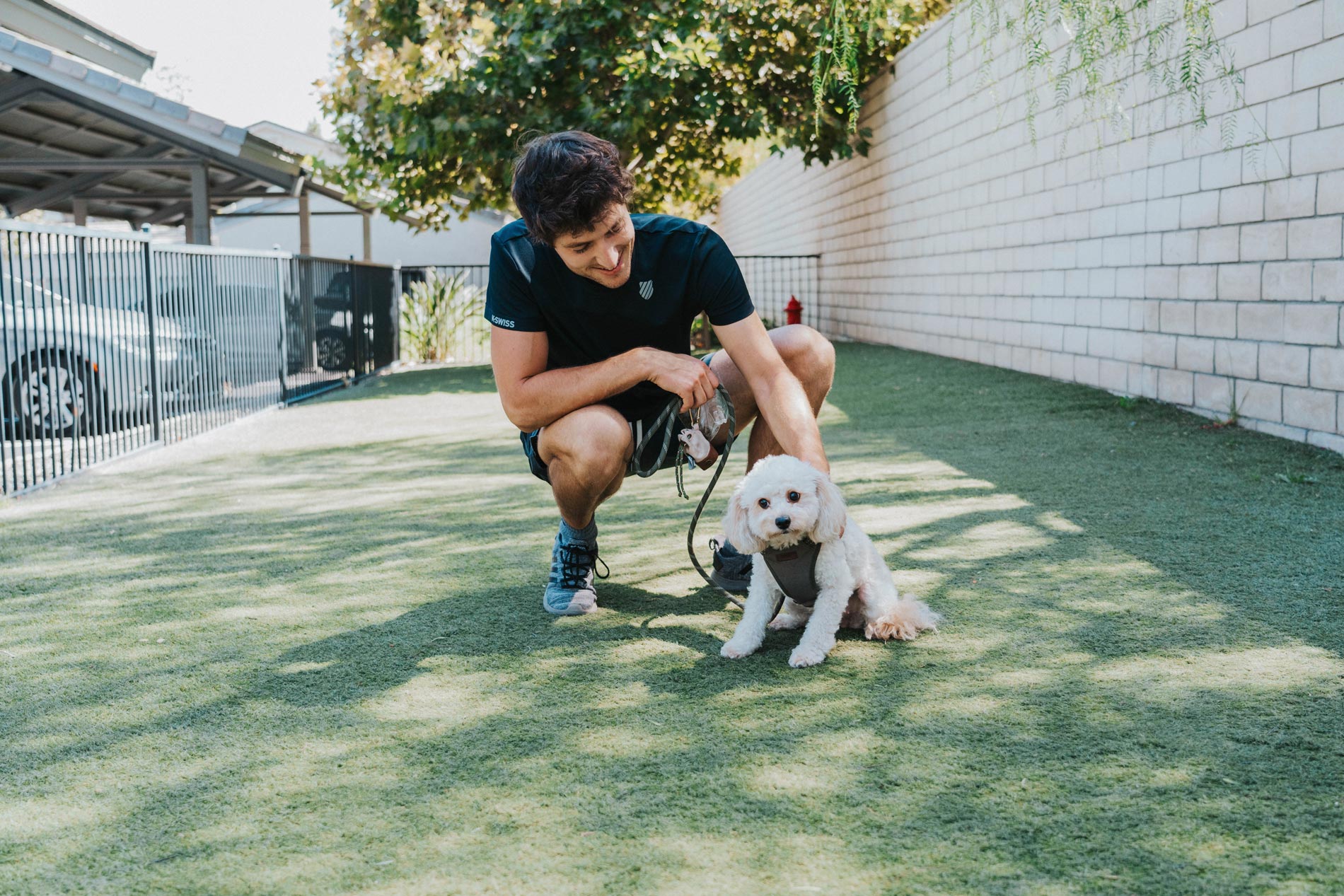 Windermere man with small dog in dog park