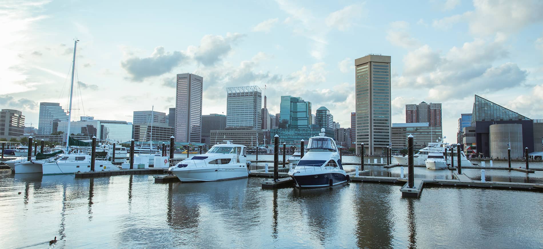 Baltimore Harbor